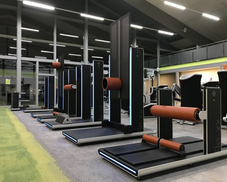 Flexx Beweglichkeit agil Gifhorn